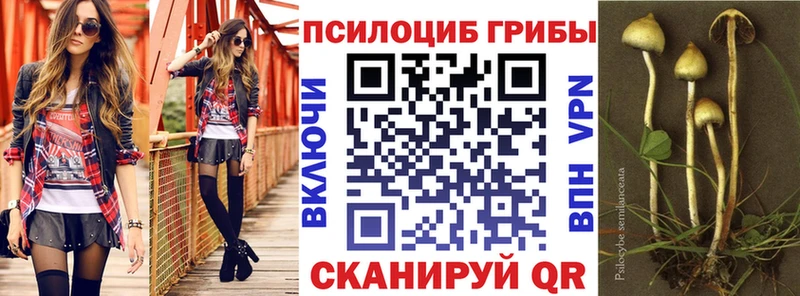 Псилоцибиновые грибы Psilocybe  Камешково 
